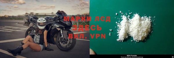 прущие грибы Тольятти