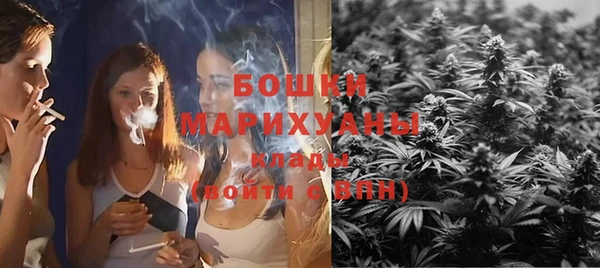 PSILOCYBIN Арсеньев