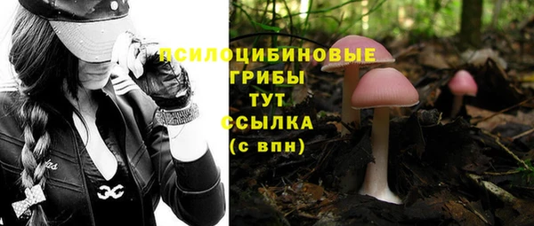 ешки Армянск