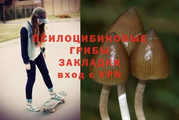 бутират Кукмор