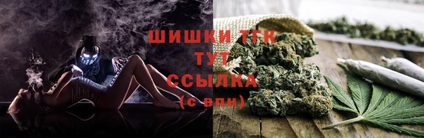 мяу мяу мука Куйбышев