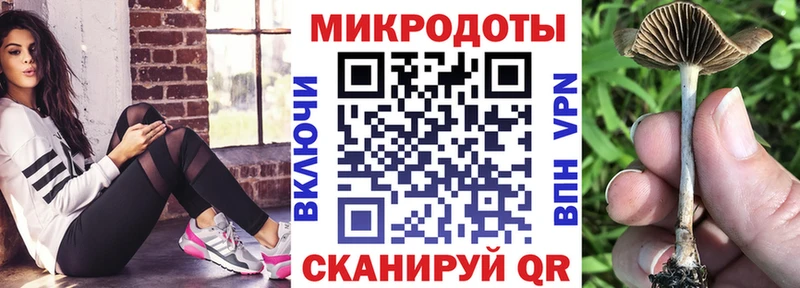 Галлюциногенные грибы MAGIC MUSHROOMS купить закладку KRAKEN ссылки Саранск
