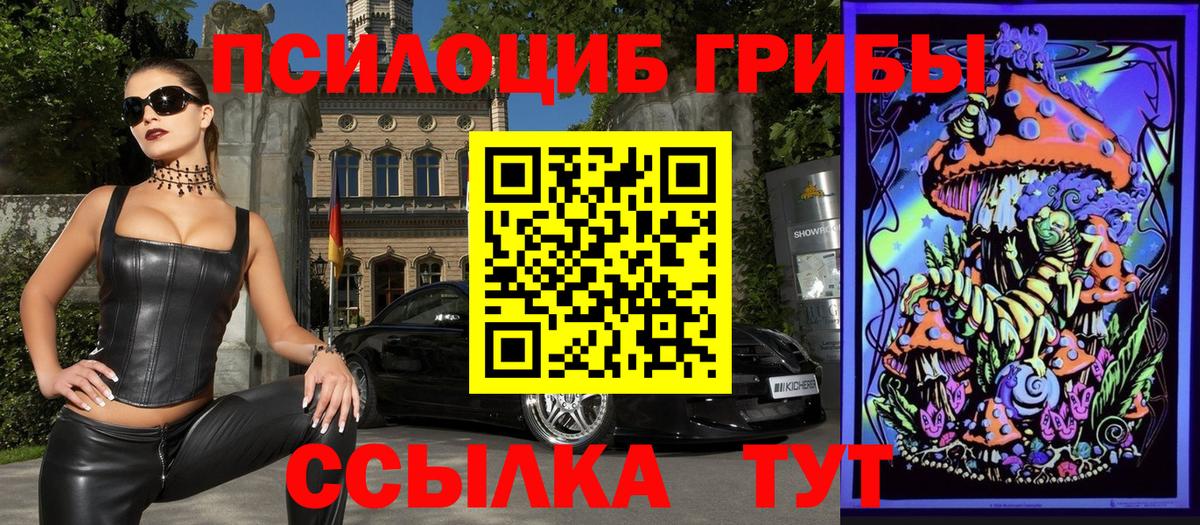 цены наркотик  Вход с VPN  Саранск  Псилоцибиновые грибы мицелий 