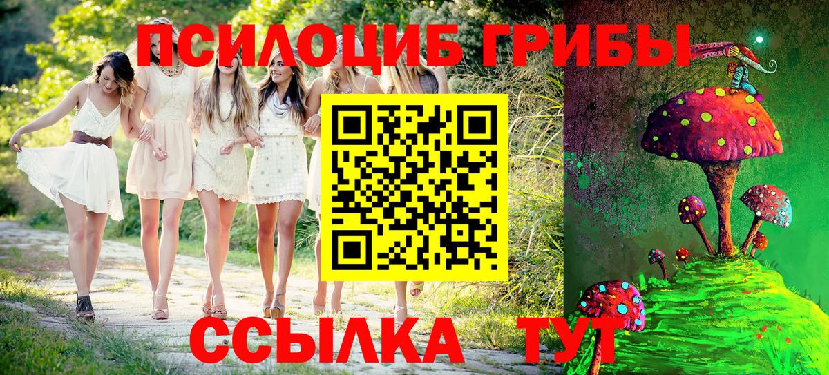 Галлюциногенные грибы GOLDEN TEACHER Саранск